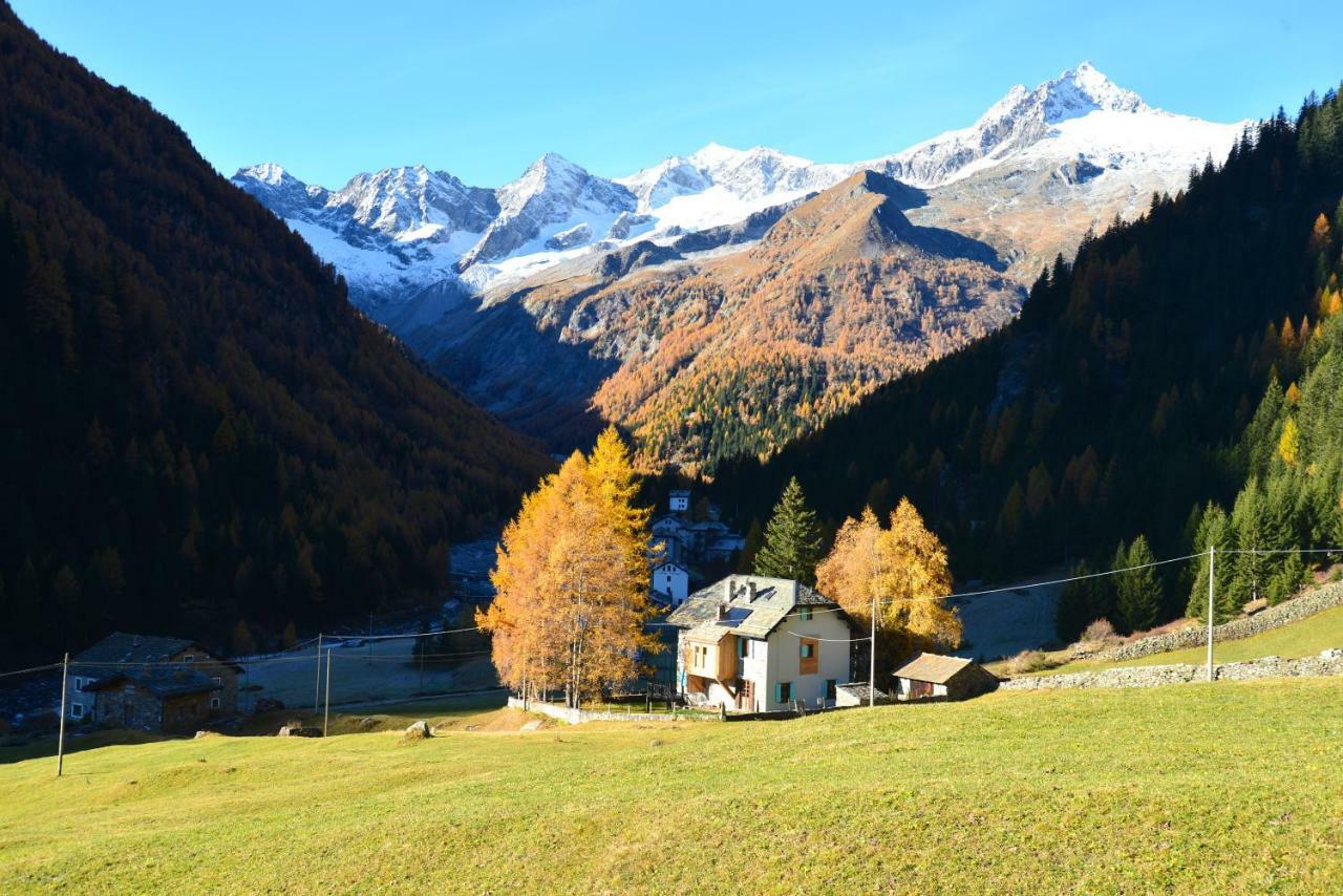 Il Cortese Chiareggio Buitenkant foto